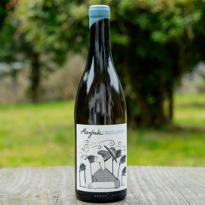 Manfredi Grecanico 2024