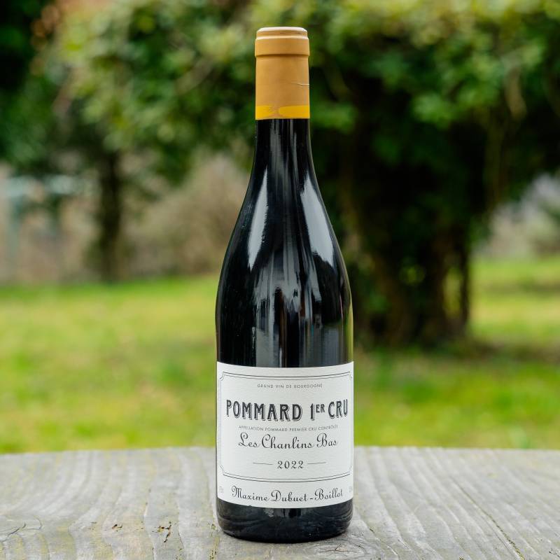 Pommard 1er Cru Chanlins-Bas