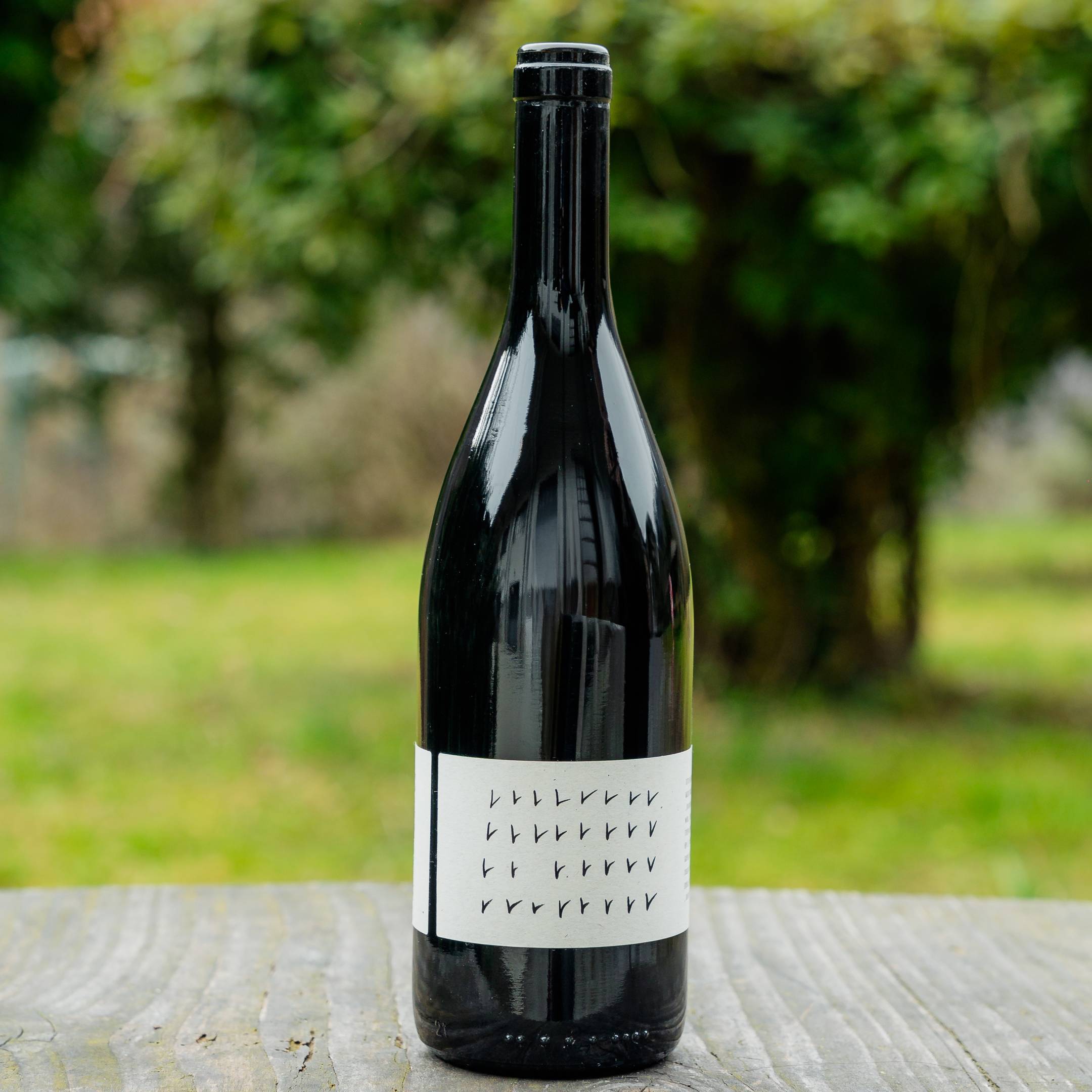 Numero Rosso Umbria 2022