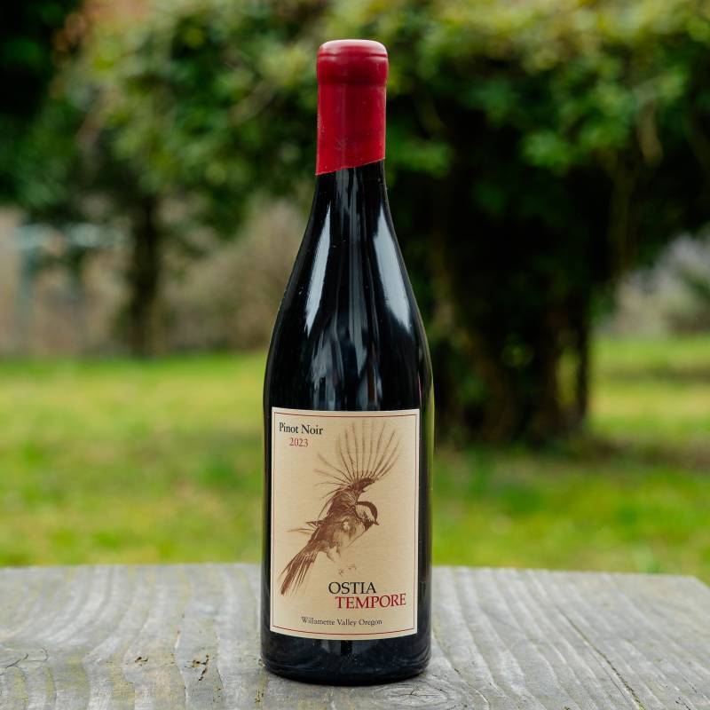 Pinot Noir Willamette Valley 2023