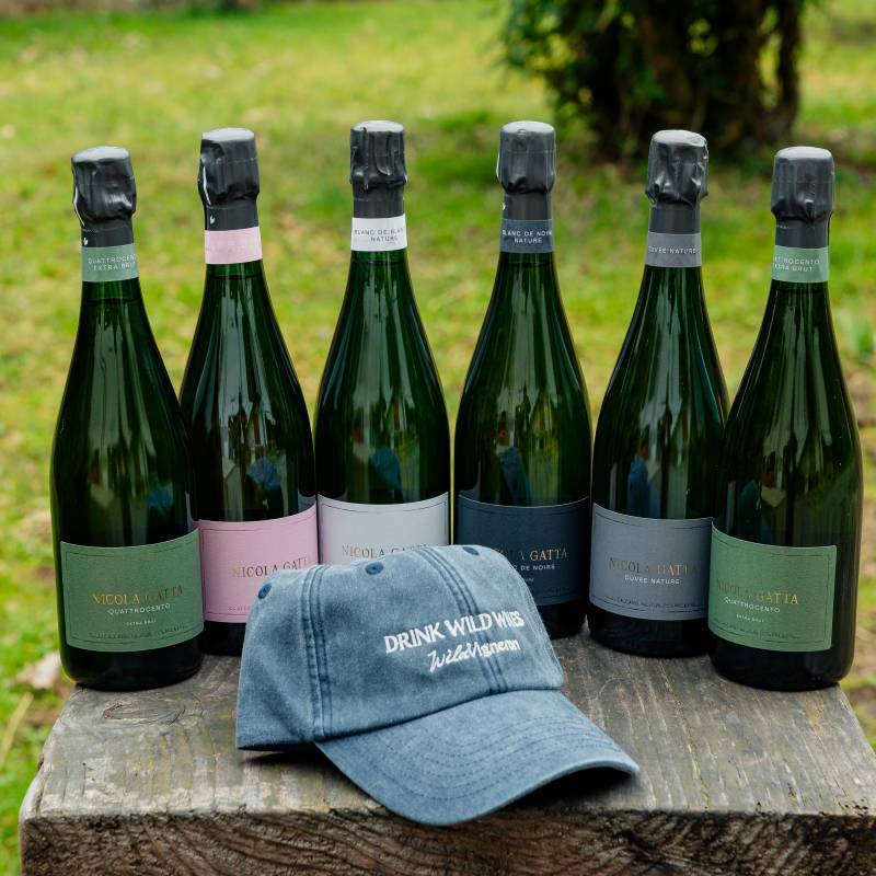 Filosofia - Nicola Gatta