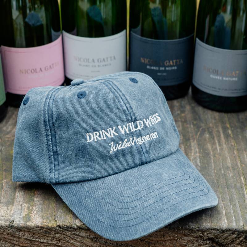 Filosofia - Nicola Gatta