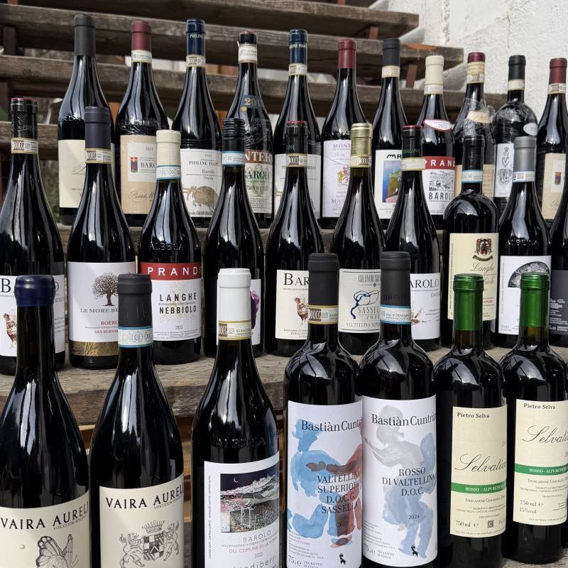 WILD VIGNERON DROP - NEBBIOLO: VALTELLINA vs PIEMONTE