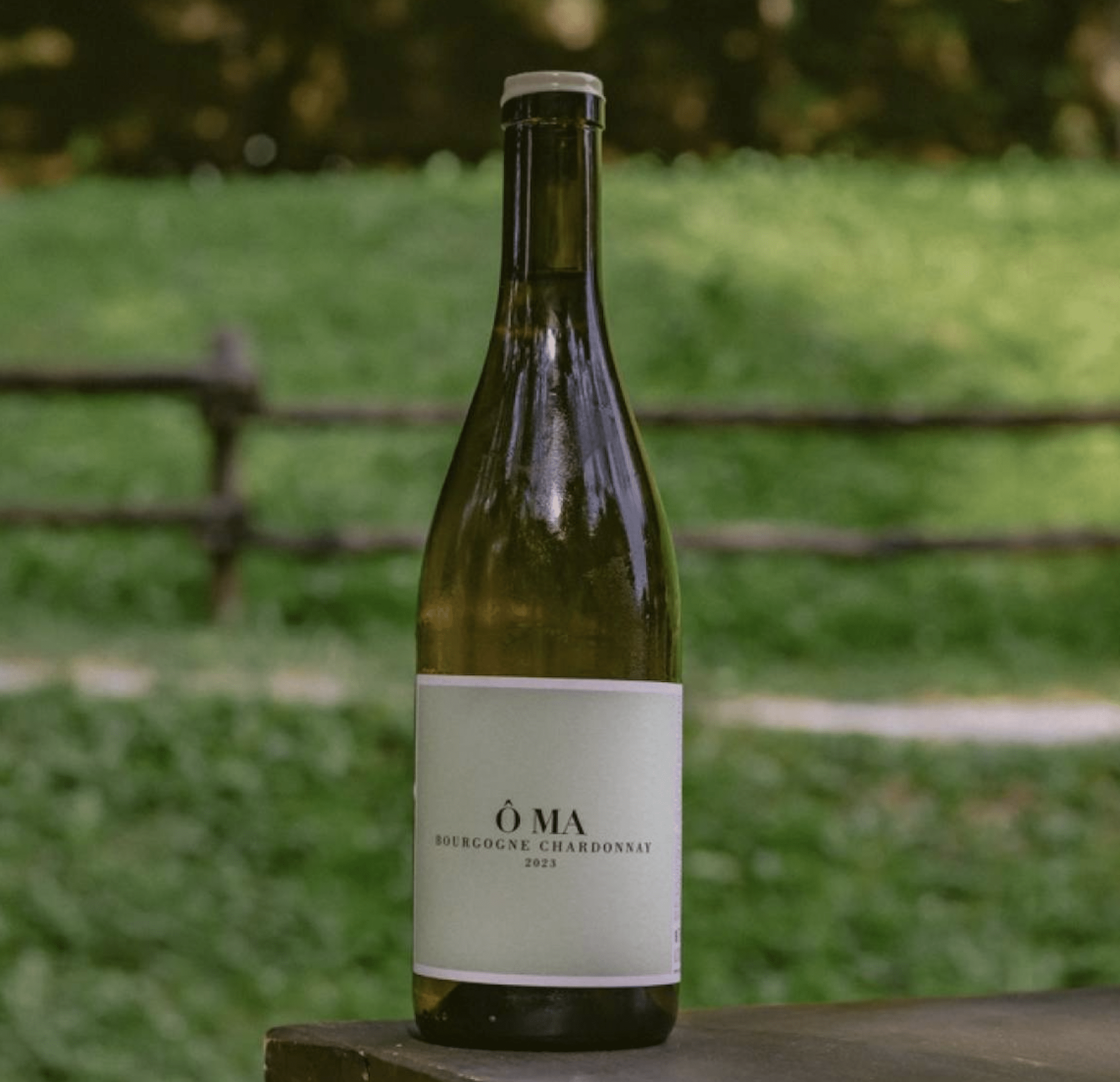 OMA Santenay Bourgogne Chardonnay