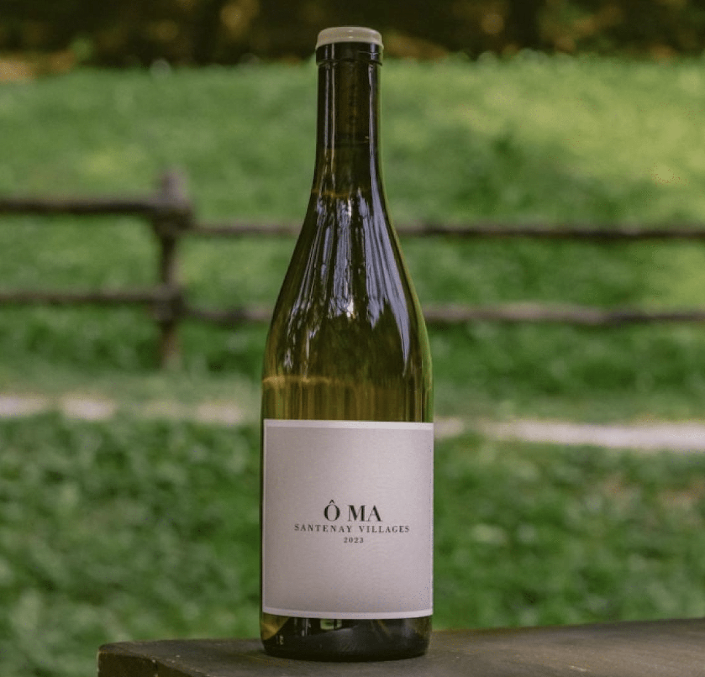 OMA Santenay Santenay Villages Blanc Sous la Roche