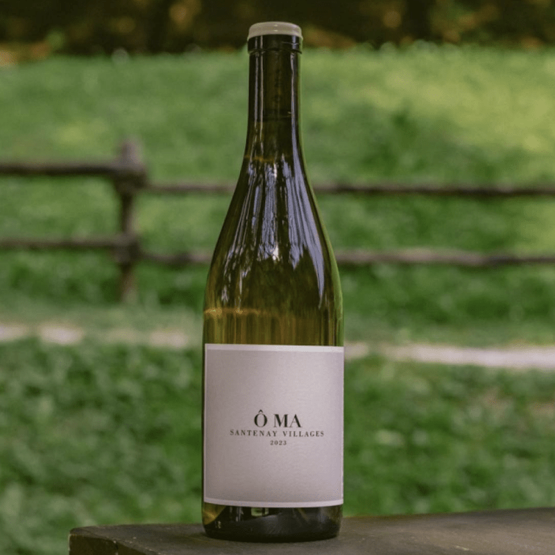 Santenay Villages Blanc Sous la Roche