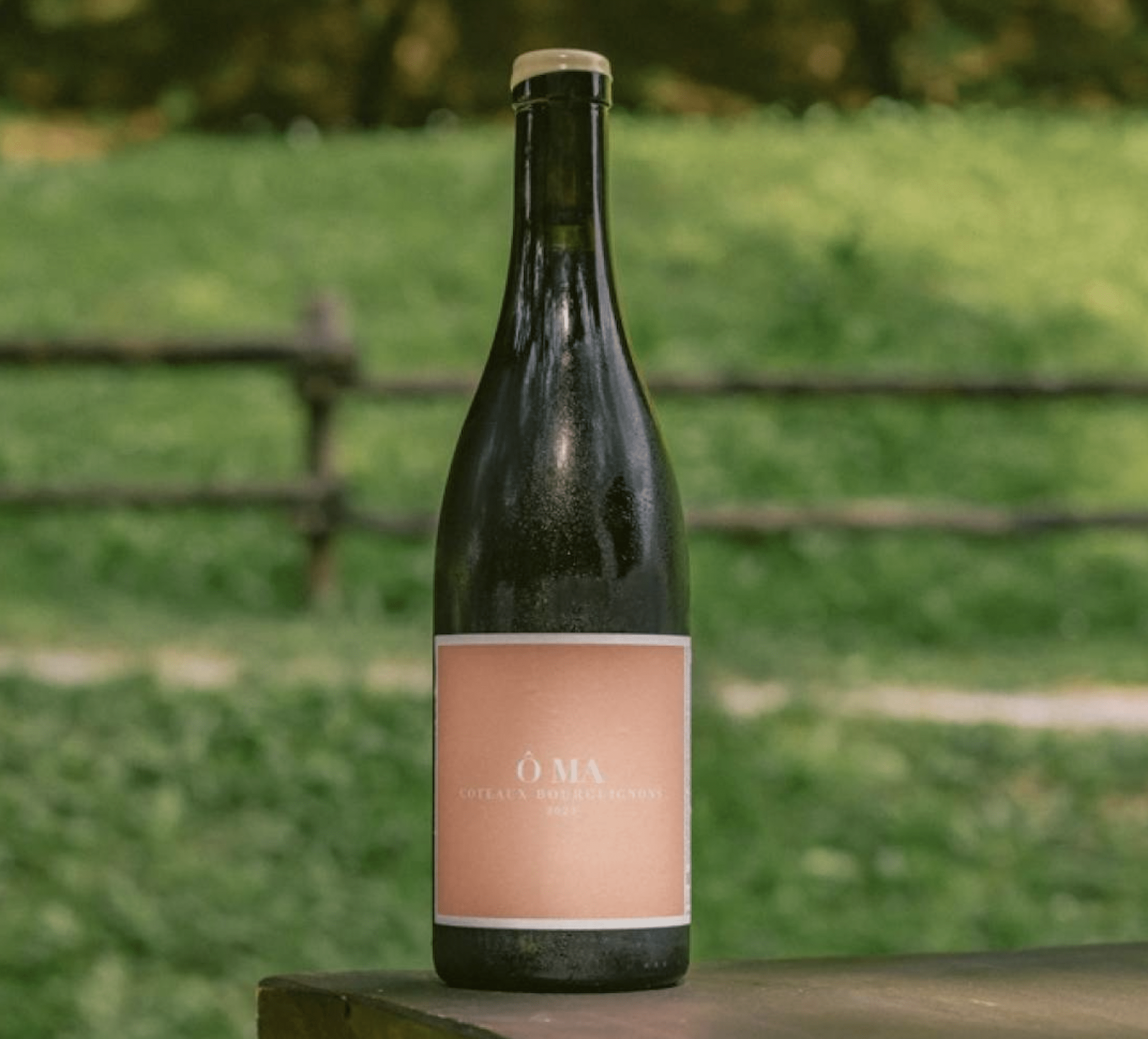 OMA Santenay Coteaux-Bourguignons Rouge 2023
