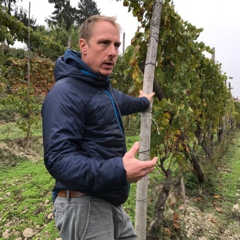 Langhe Nebbiolo 2024 DOC