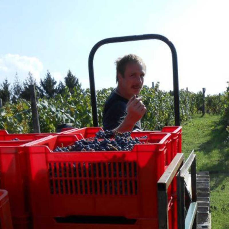 Langhe Nebbiolo 2024 DOC