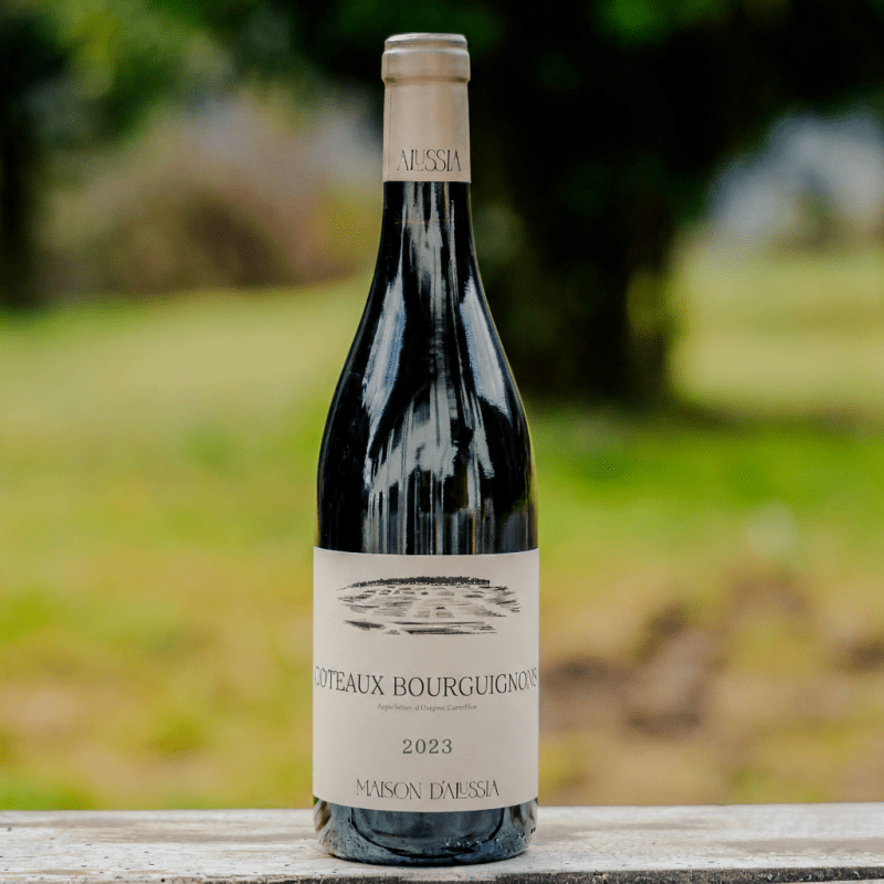 Coteaux Bourguignons Blanc En Bollery 2023