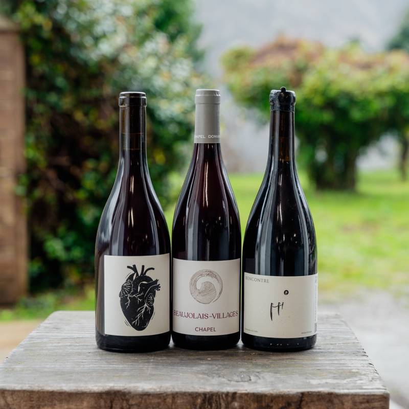 Beaujolais Tasting Box