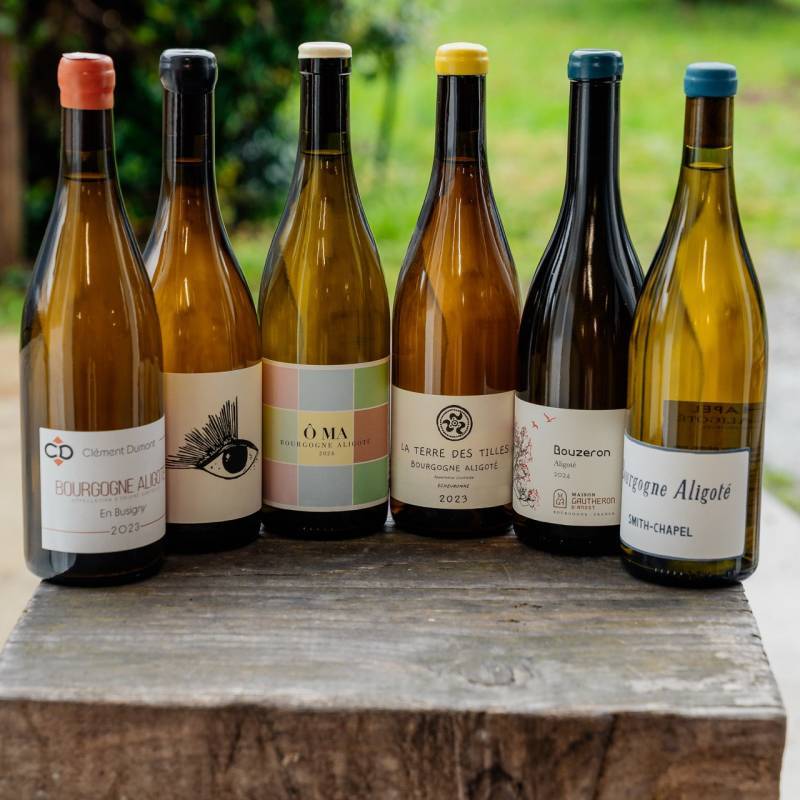 Aligote Tasting Box