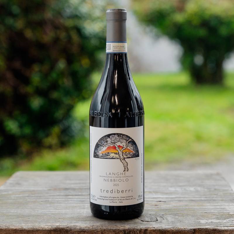 Langhe nebbiolo 2025