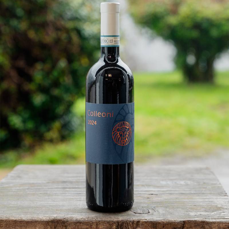 Rosso di Montalcino 2024 DOC