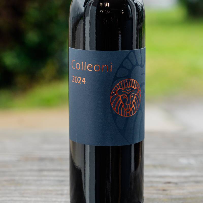 Rosso di Montalcino 2024 DOC