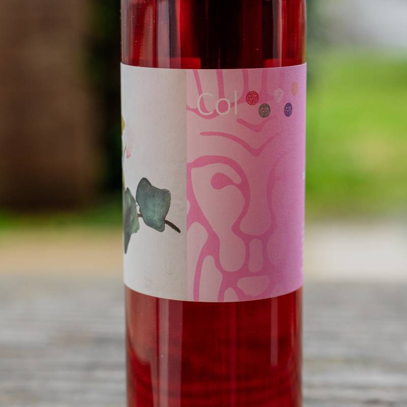 Rosato IGT 2024 Toscana