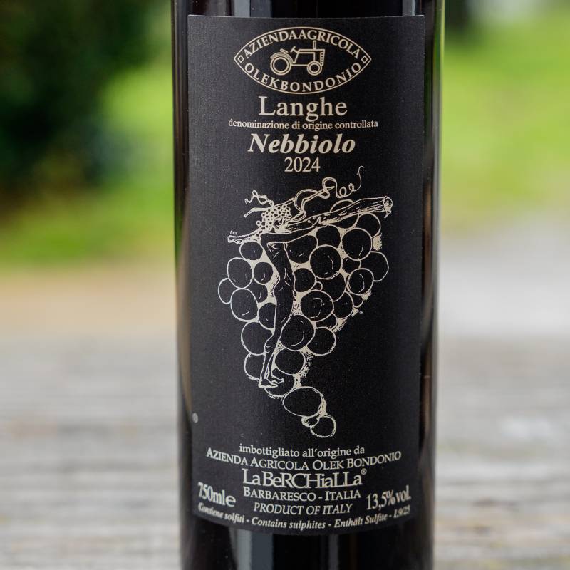 Langhe Nebbiolo 2024 DOC