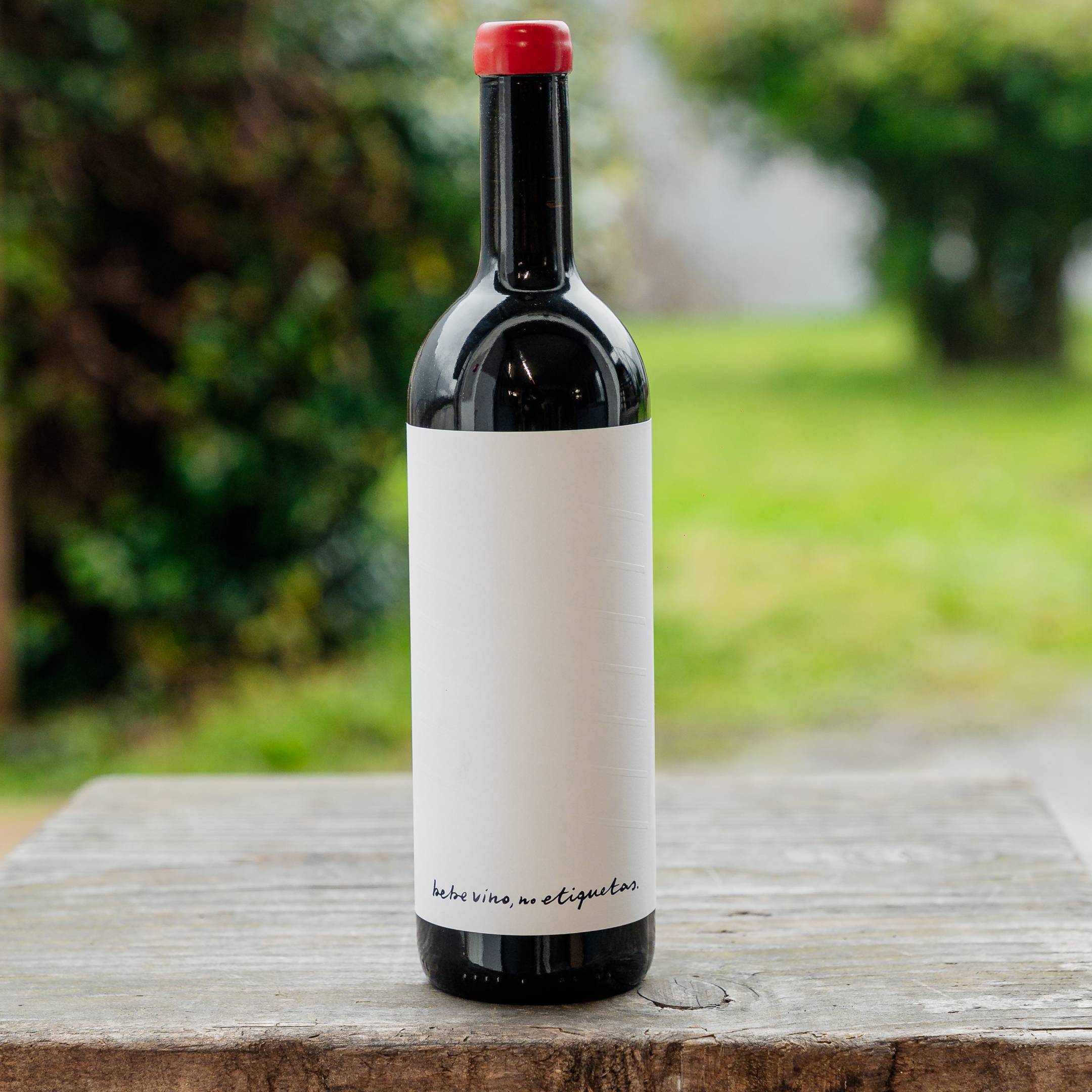 Dwnl Alessandro Salvano Langhe Rosso