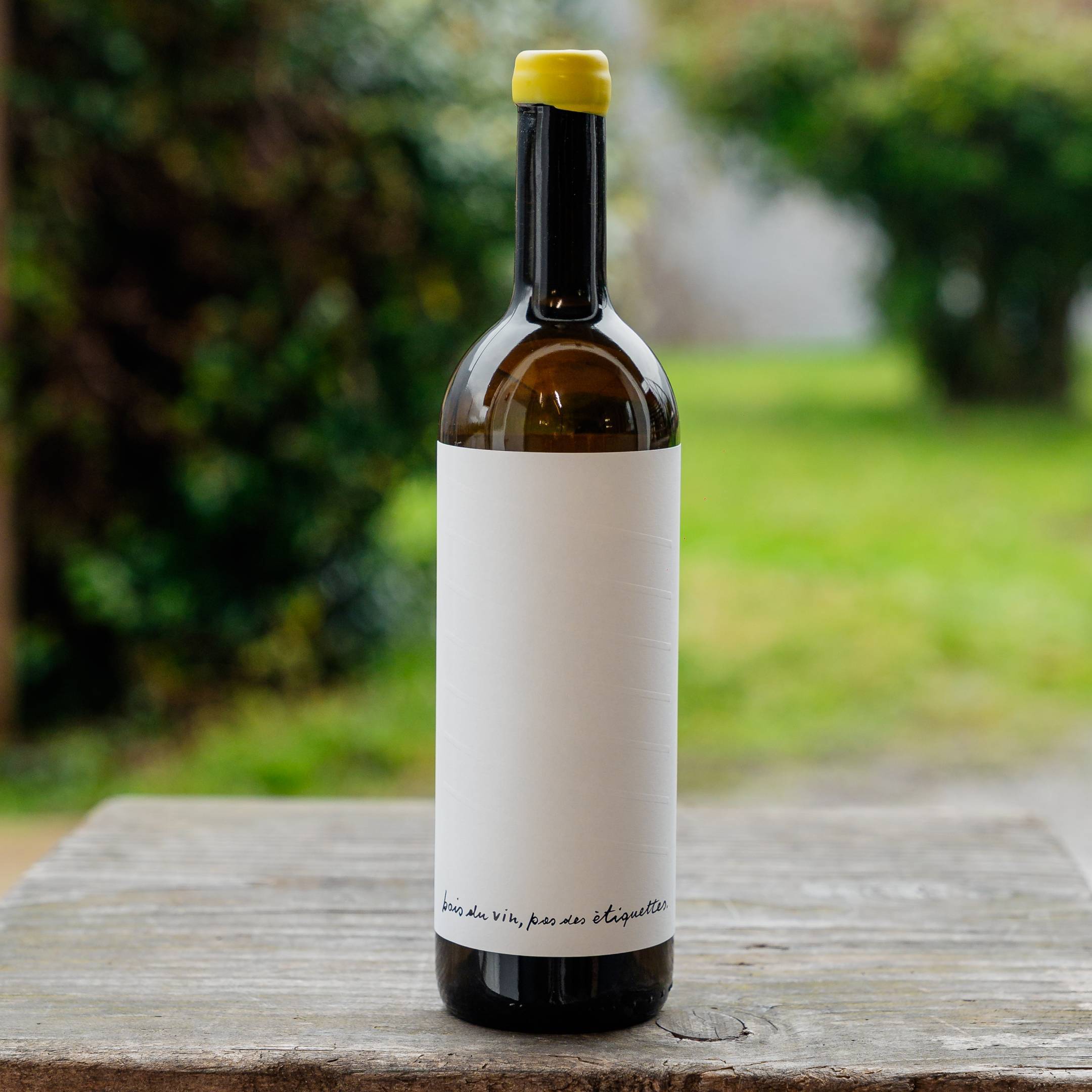 Dwnl Alessandro Salvano Langhe Chardonnay