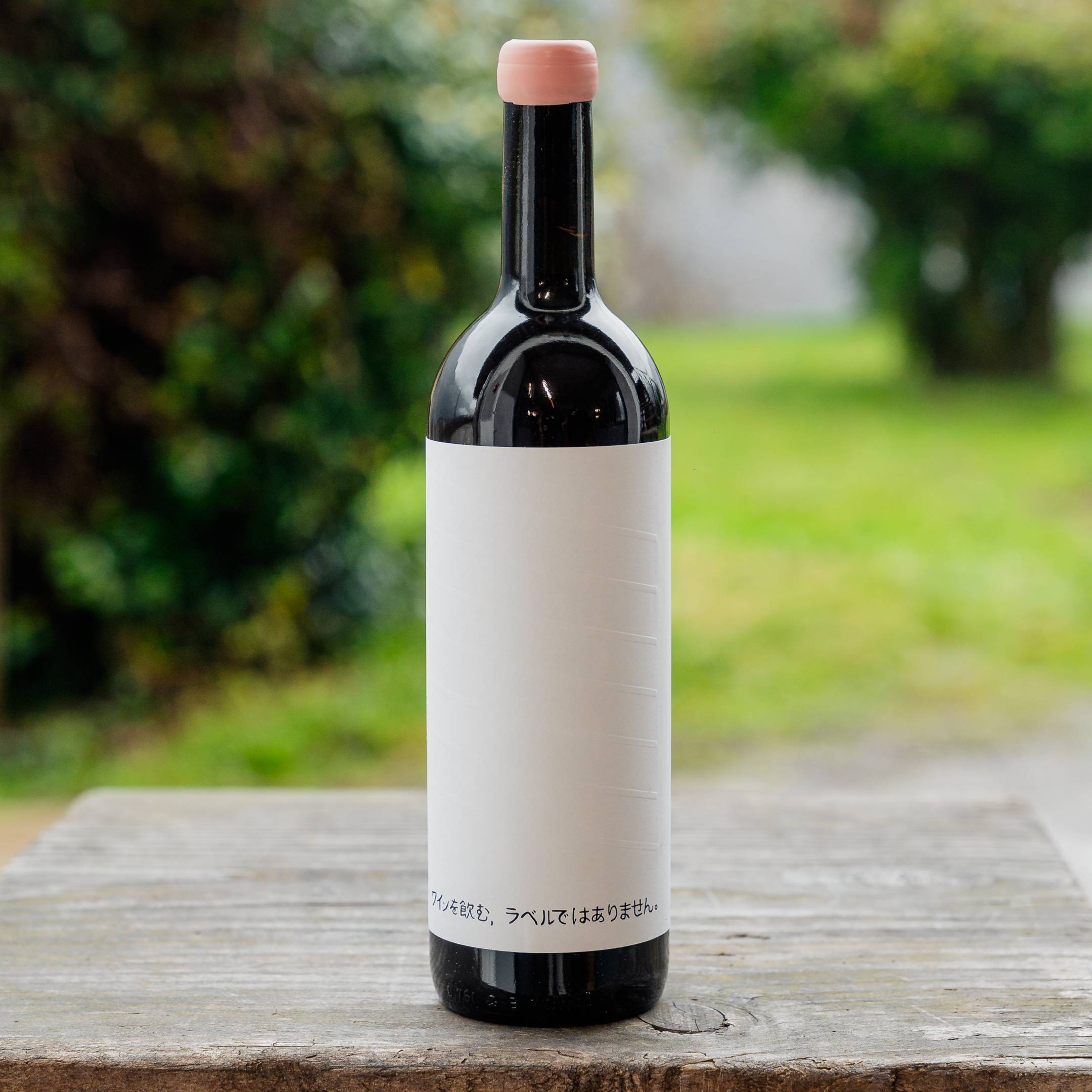 Dwnl Alessandro Salvano Langhe Pinot Nero