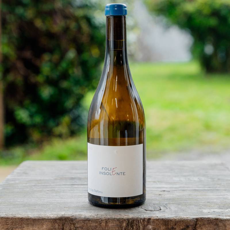 Folie Insolente