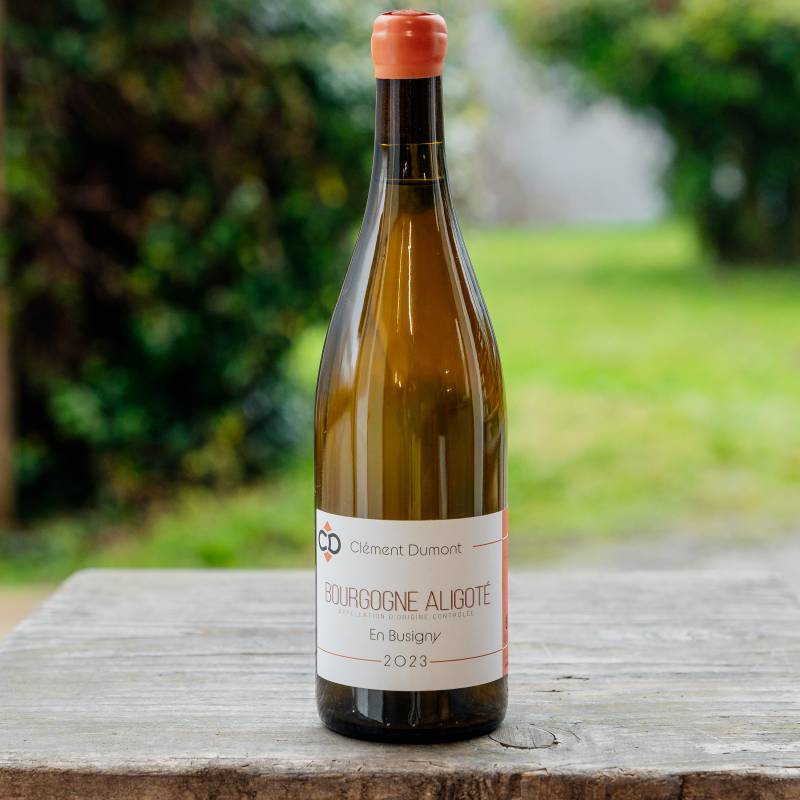 Bourgogne Aligote En Busigny