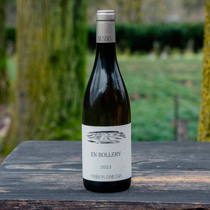 Coteaux Bourguignons Blanc En Bollery 2023