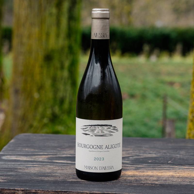 Aligote 2023