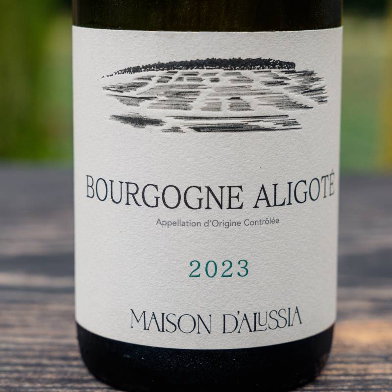 Aligote 2023