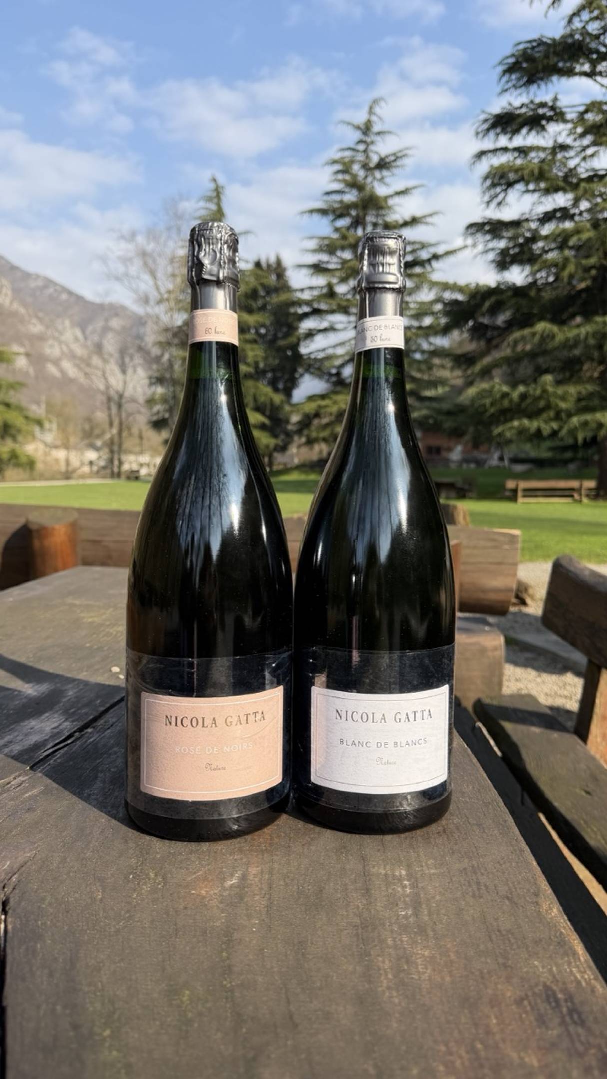 Nuove sboccature Nicola Gatta: cronache di sottrazione e precisione