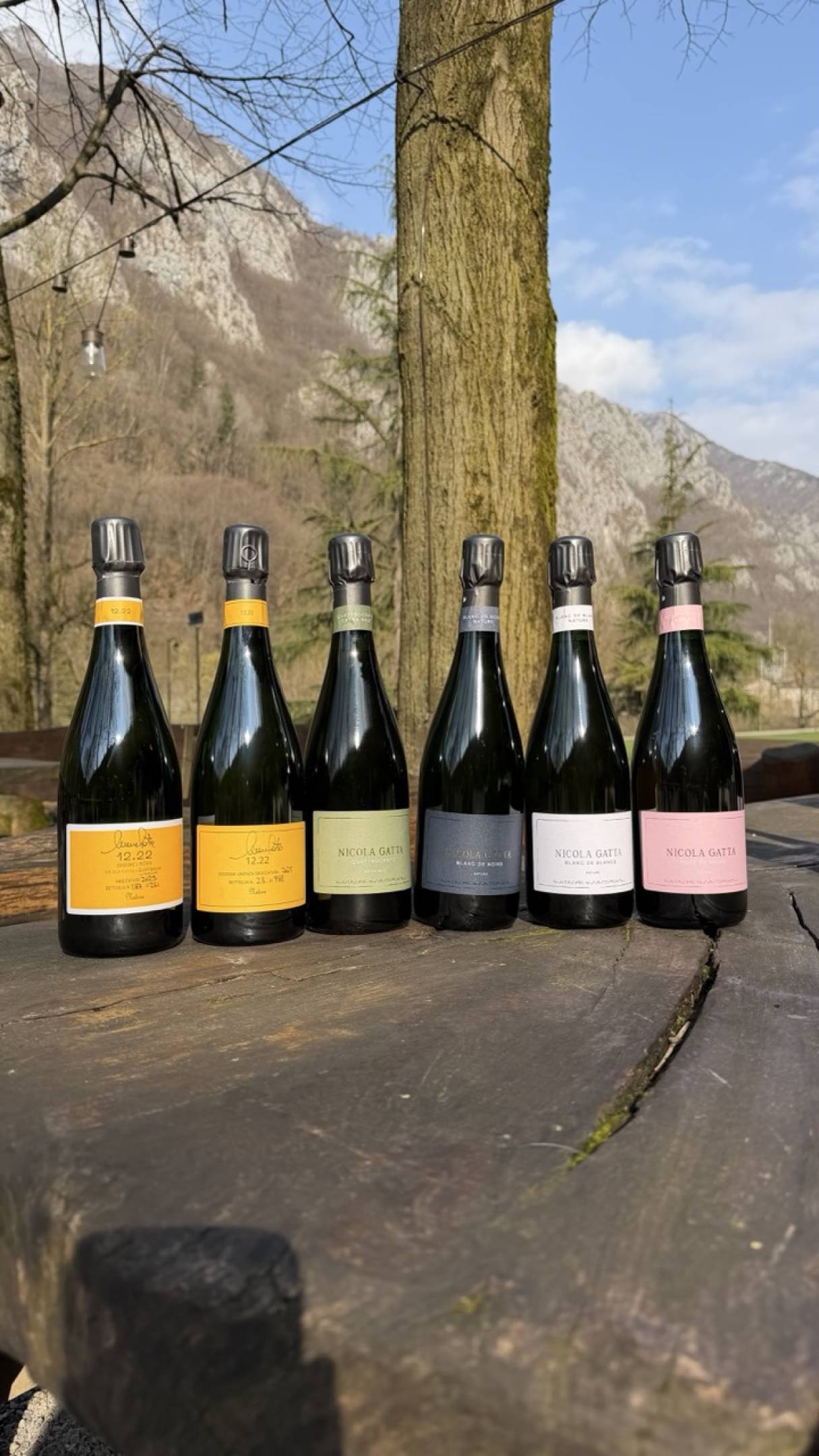 Nuove sboccature Nicola Gatta: cronache di sottrazione e precisione