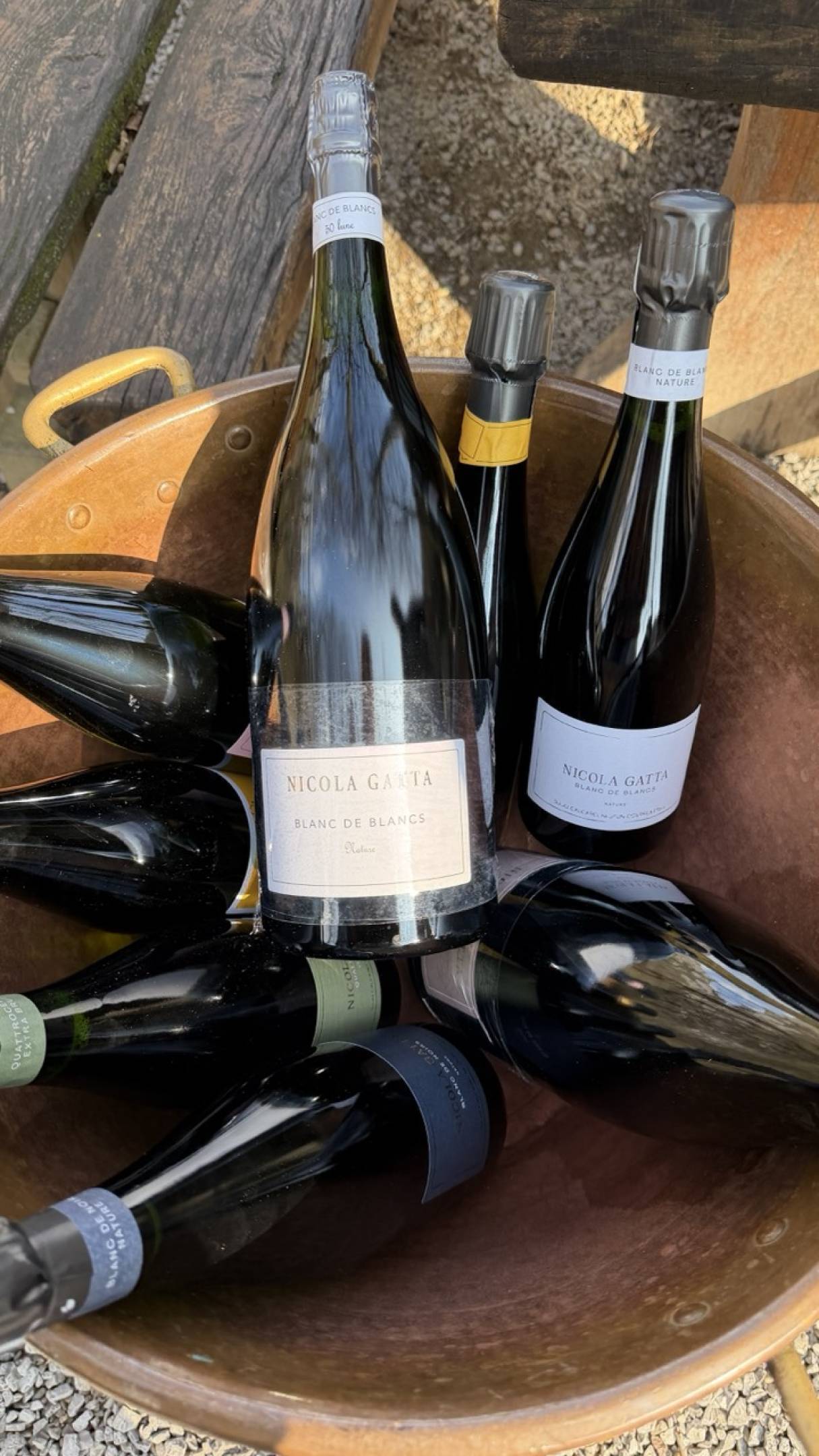 Nuove sboccature Nicola Gatta: cronache di sottrazione e precisione