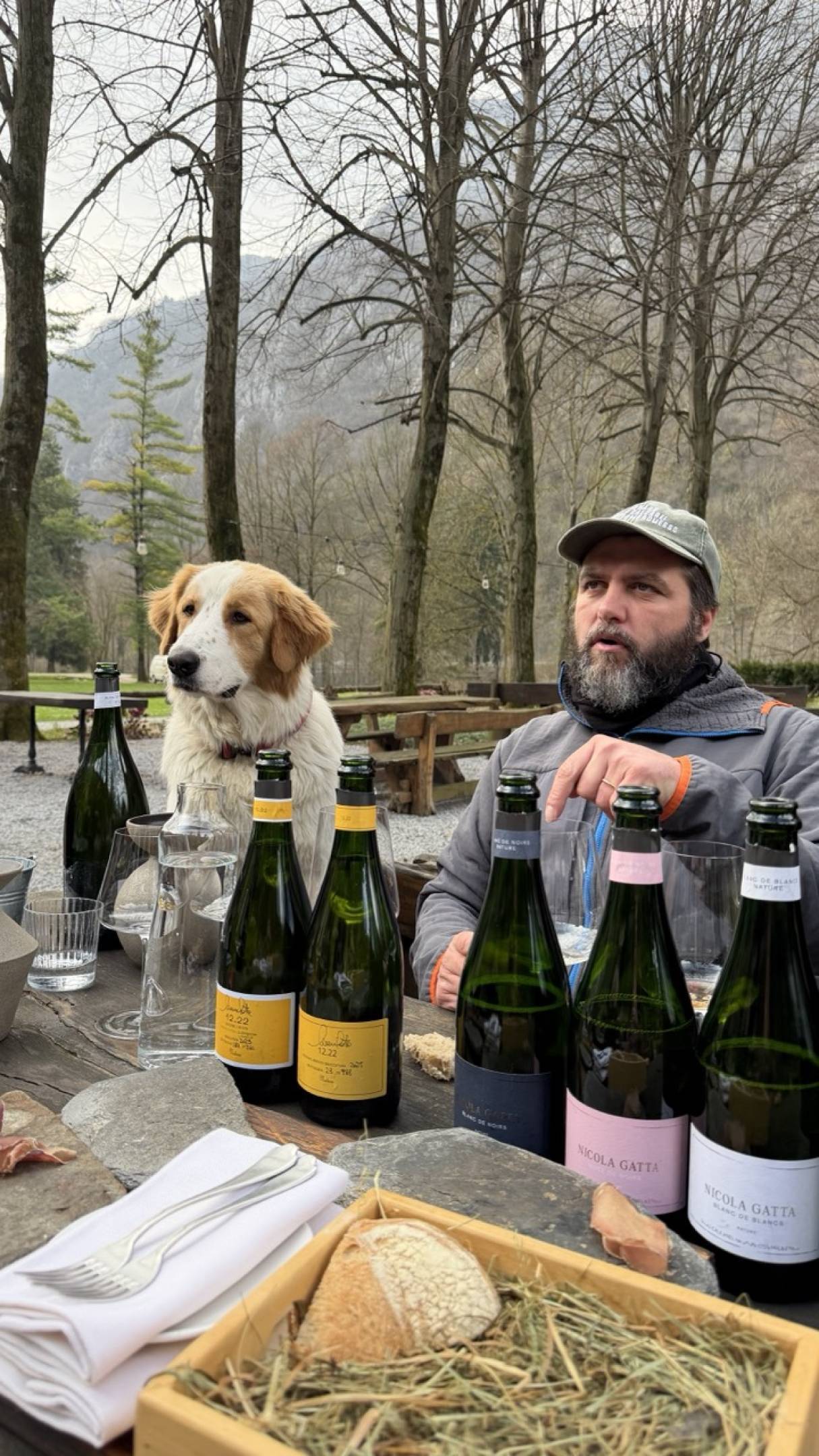 Nuove sboccature Nicola Gatta: cronache di sottrazione e precisione