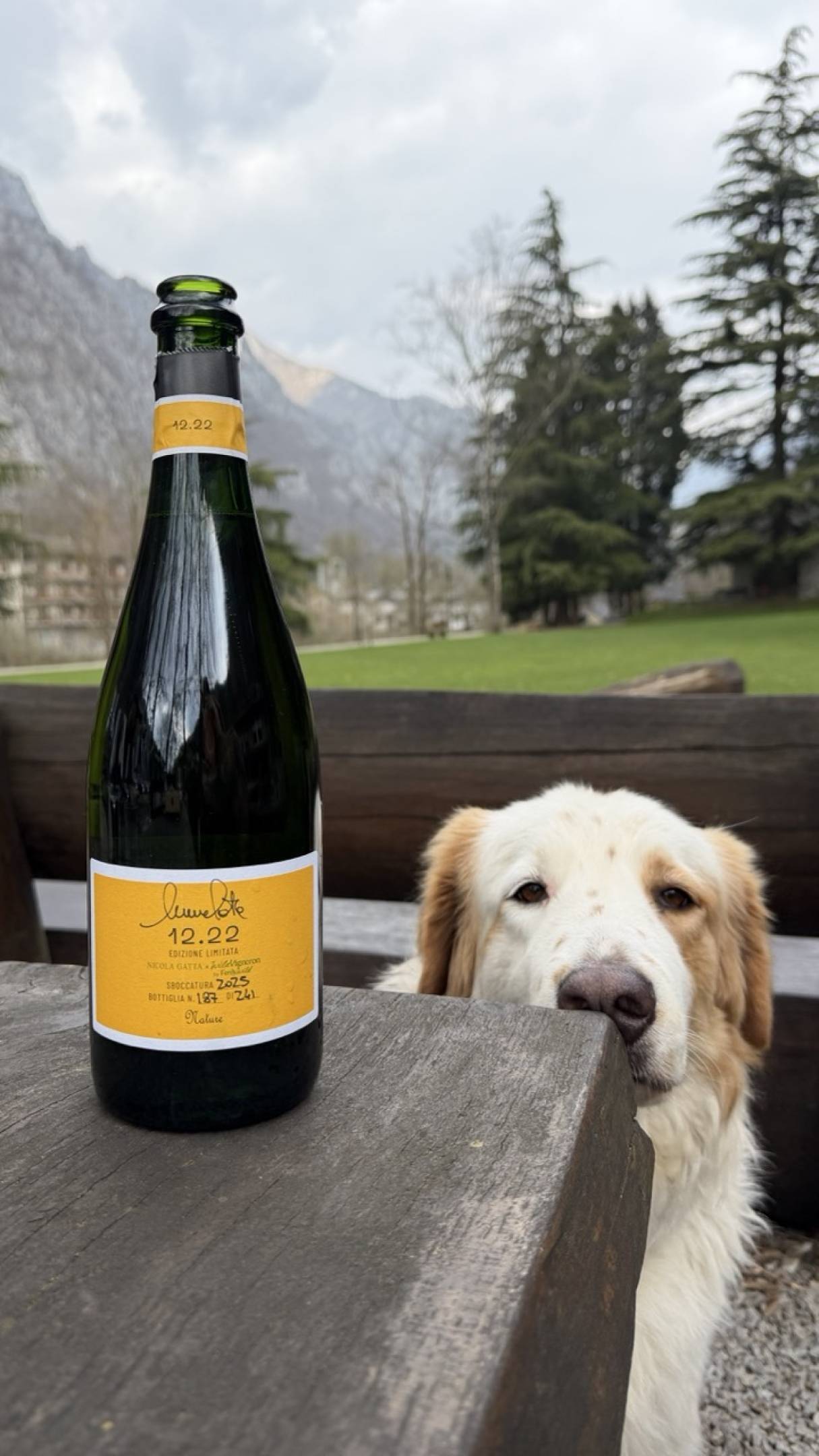 Nuove sboccature Nicola Gatta: cronache di sottrazione e precisione