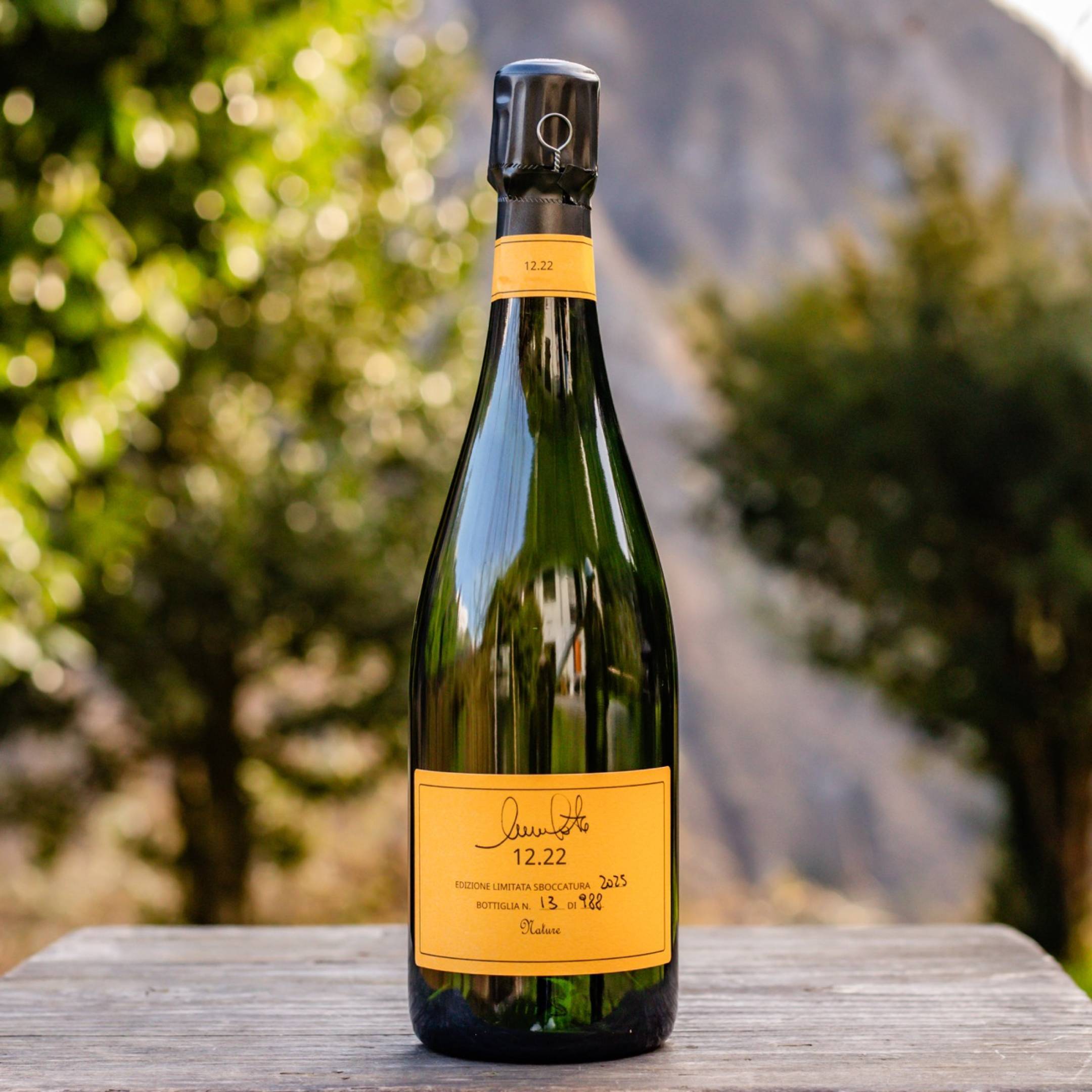 Nicola Gatta 12.22 Perpetuelle Pinot Noir