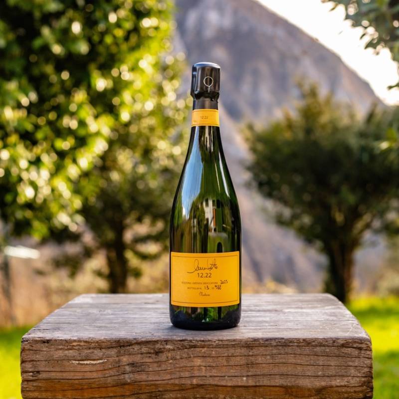 12.22 Perpetuelle Pinot Noir