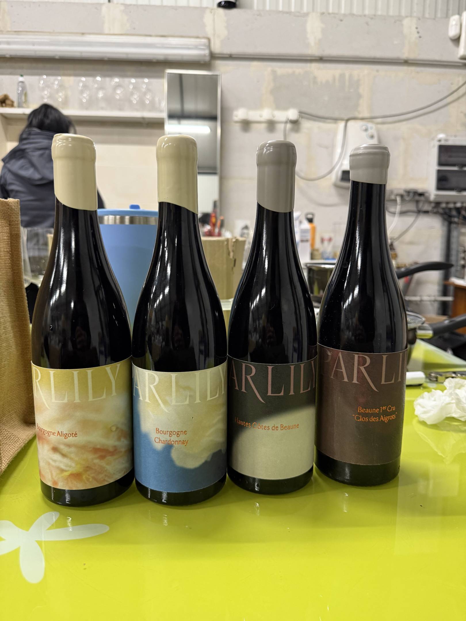 Lily Par: l'arte della sottrazione e il rigore della scienza