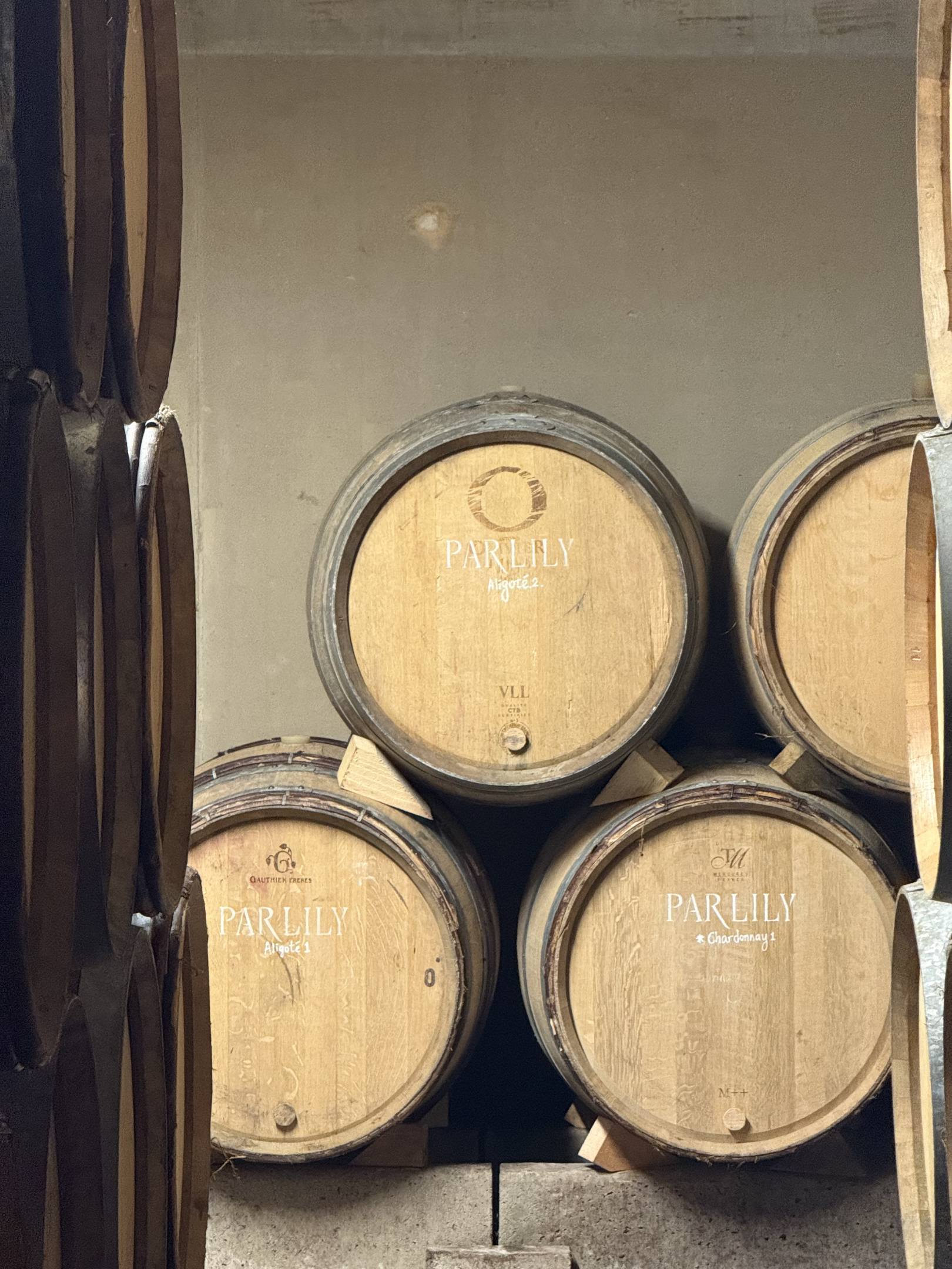 Lily Par: l'arte della sottrazione e il rigore della scienza