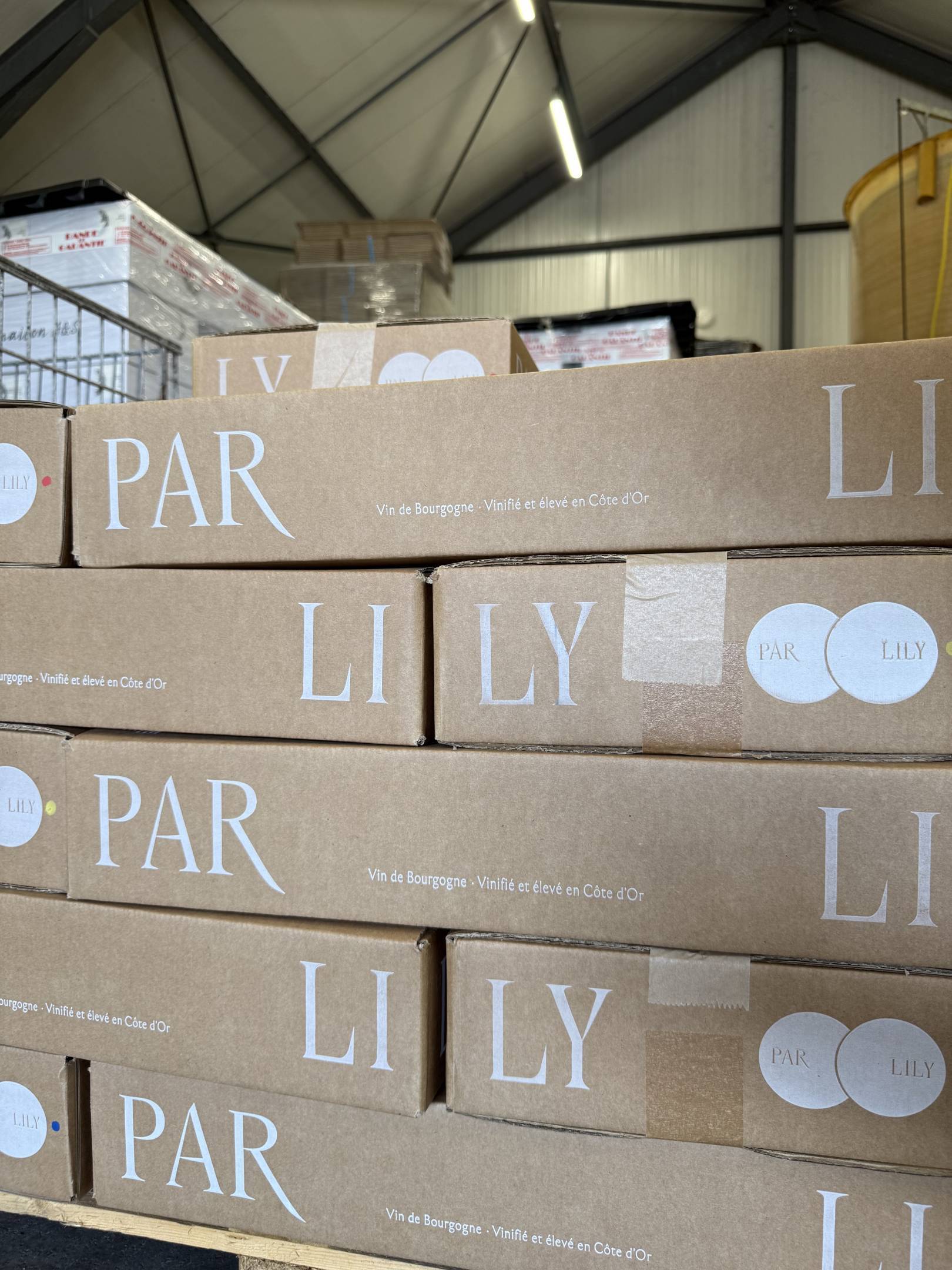 Lily Par: l'arte della sottrazione e il rigore della scienza