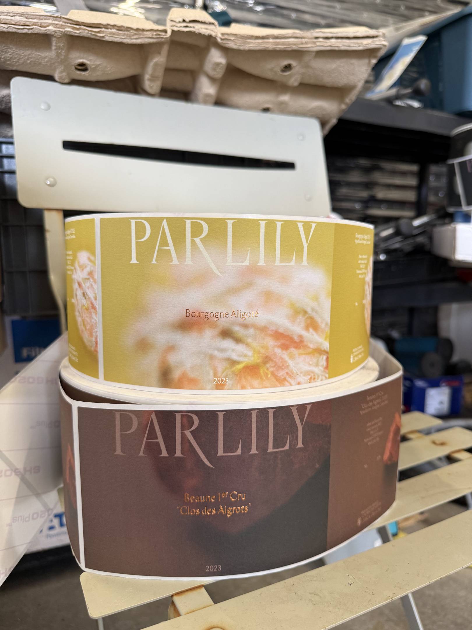 Lily Par: l'arte della sottrazione e il rigore della scienza