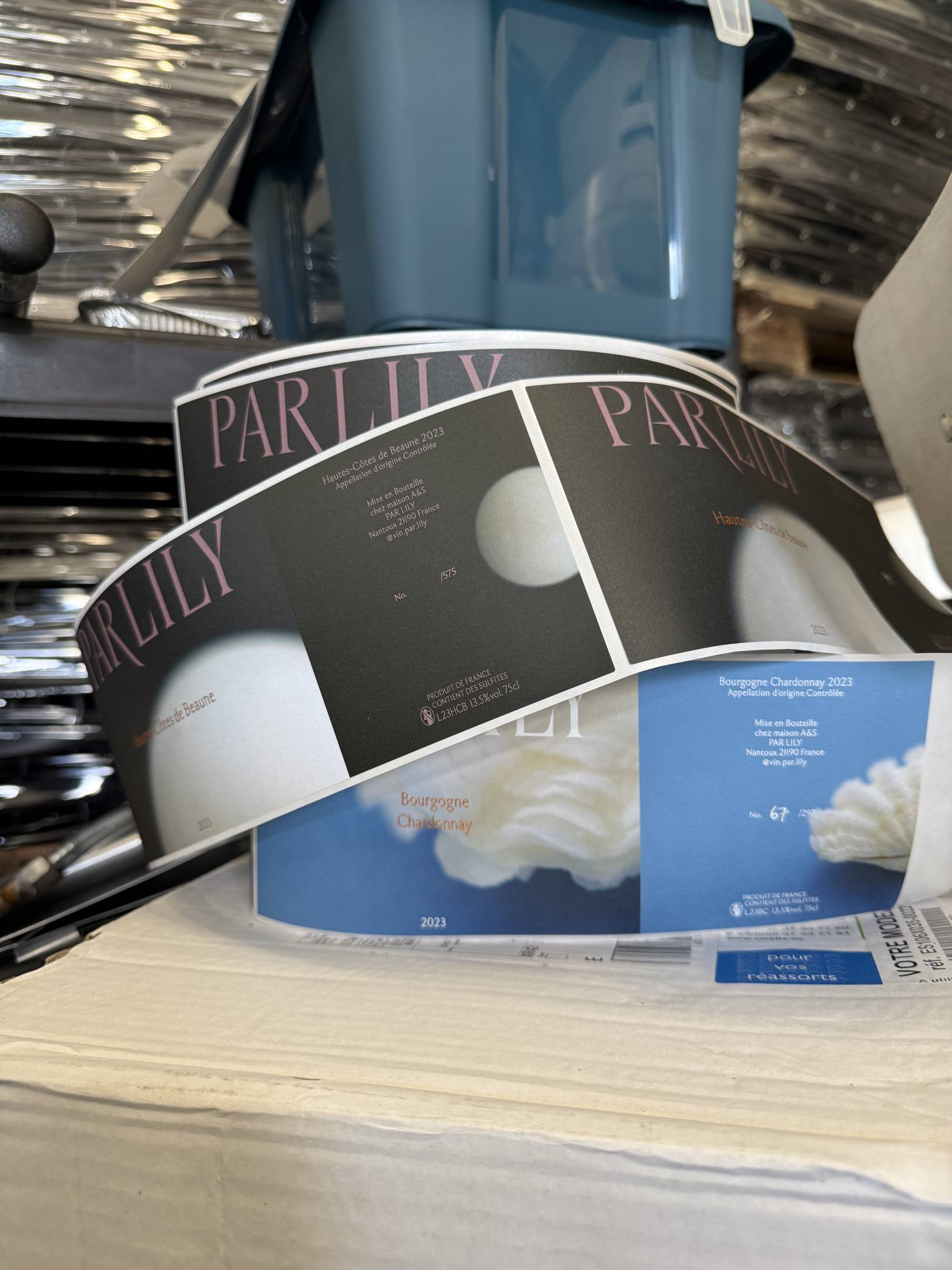 Lily Par: l'arte della sottrazione e il rigore della scienza