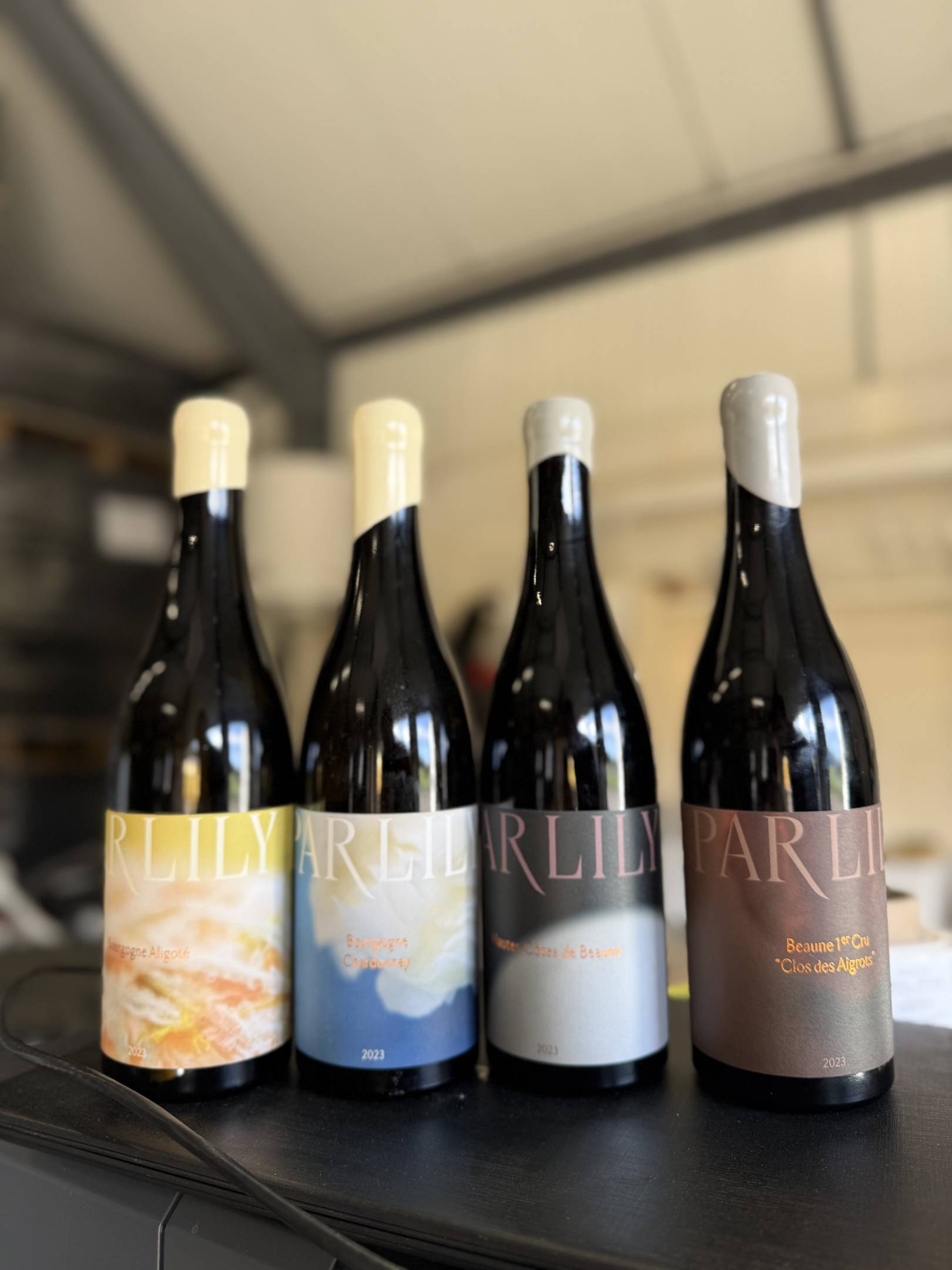 Lily Par: l'arte della sottrazione e il rigore della scienza