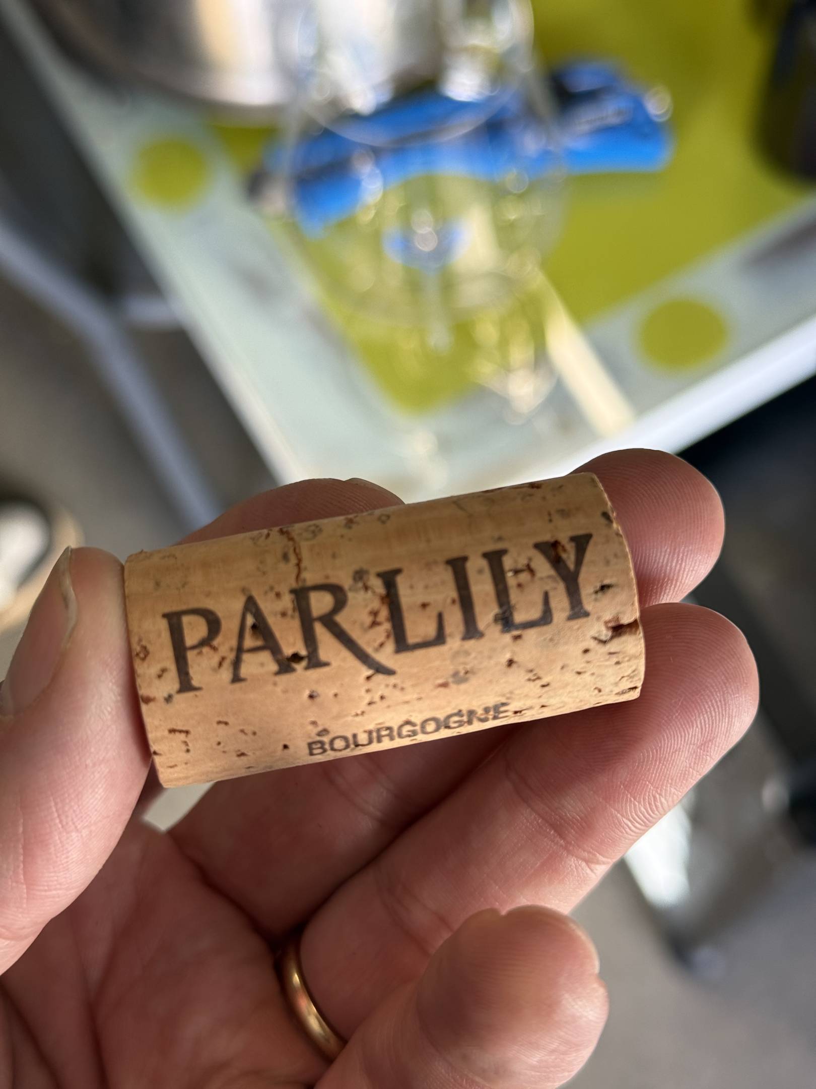 Lily Par: l'arte della sottrazione e il rigore della scienza