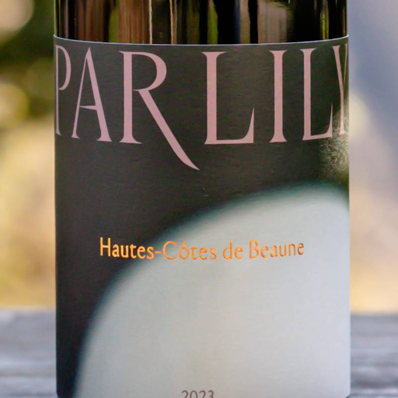 Hautes Cotes de Beaune Rouge 2023