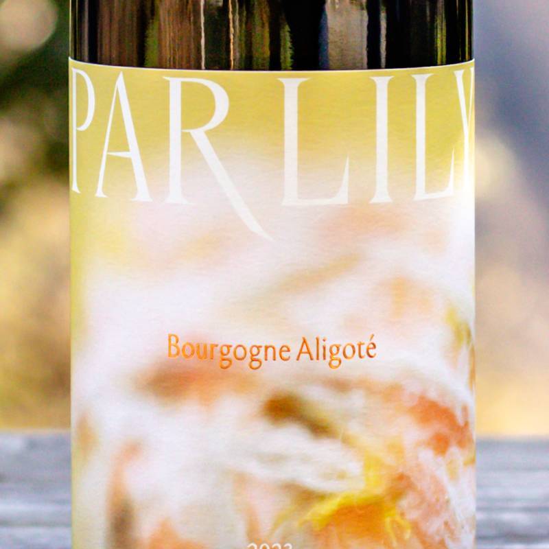 Bourgogne Aligote 2023