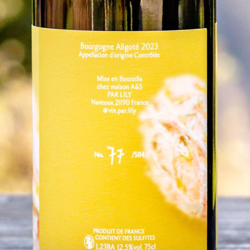 Bourgogne Aligote 2023