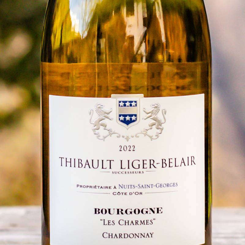 Bourgogne Chardonnay Les Charmes 2022