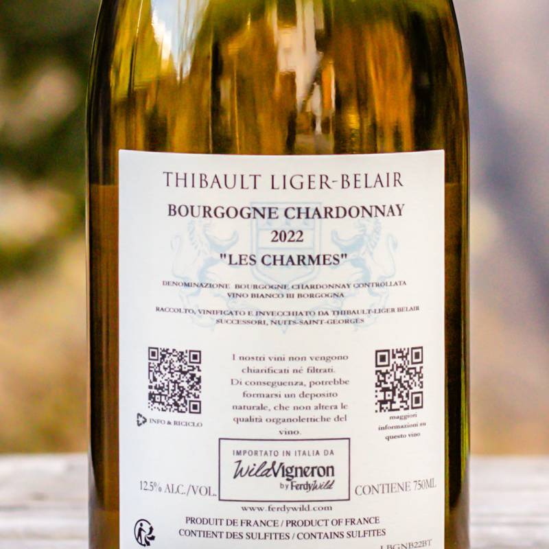 Bourgogne Chardonnay Les Charmes 2022