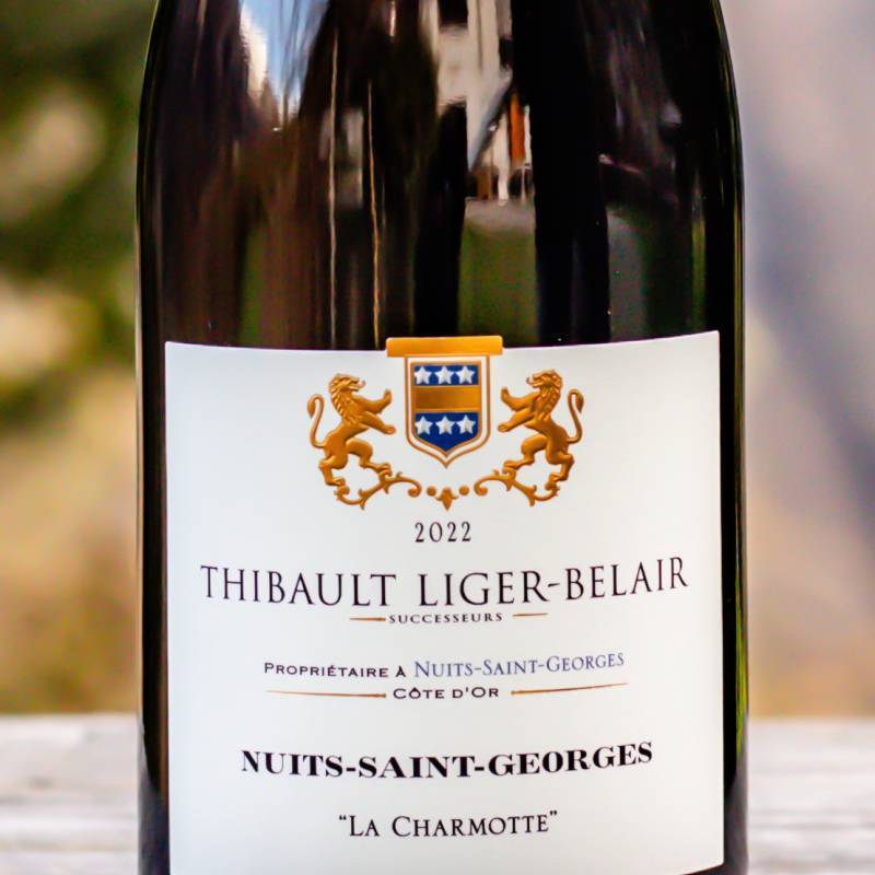 Nuits-Saint-Georges Village La Charmotte 2022