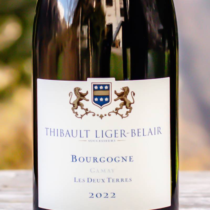 Bourgogne Gamay Les Deux Terres 2022